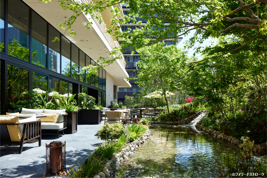 パティーナ大阪 庭