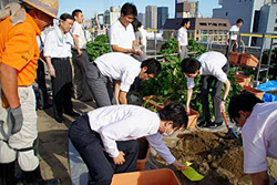 写真:社員参加によるのサツマイモのつる入れ作業