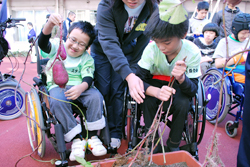 写真:収穫の模様